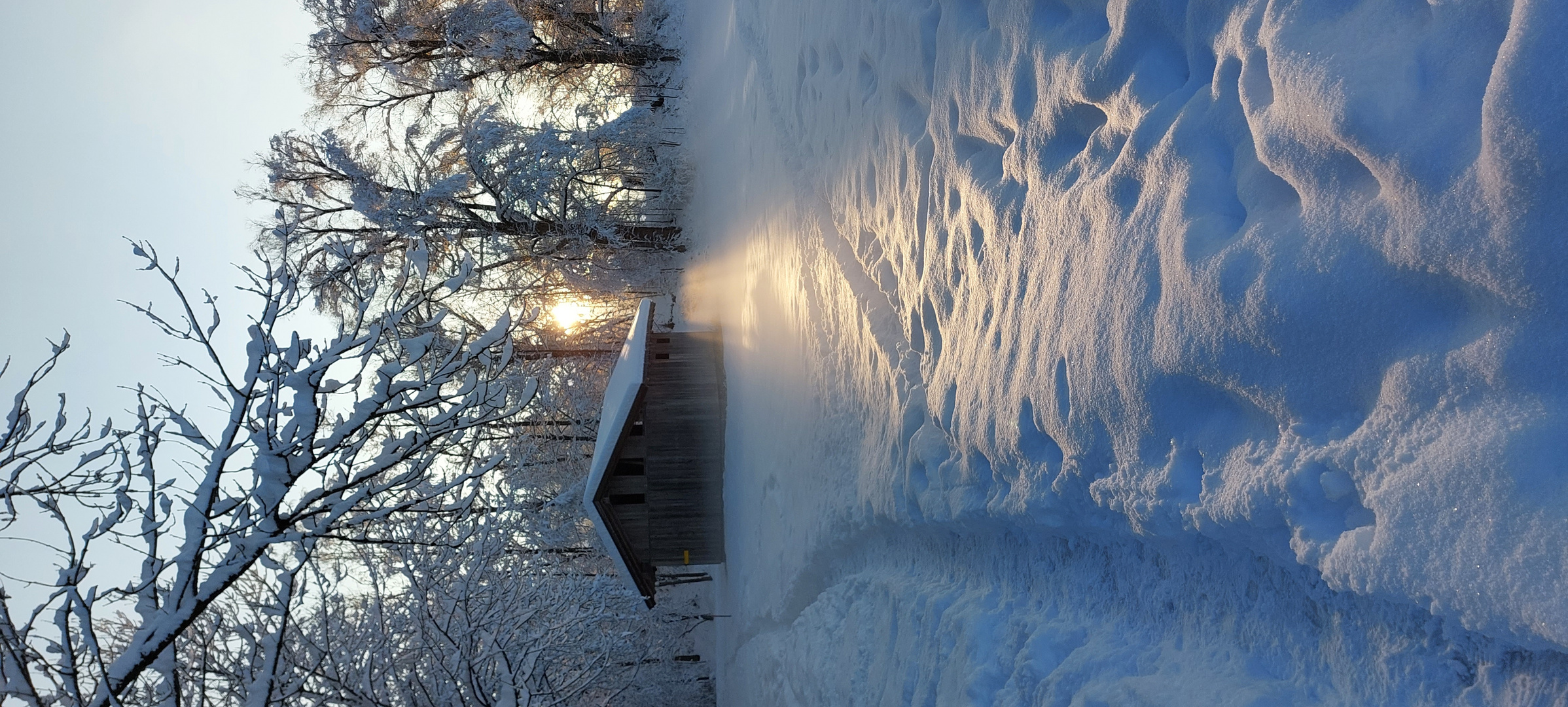 Schuppen im Schnee 