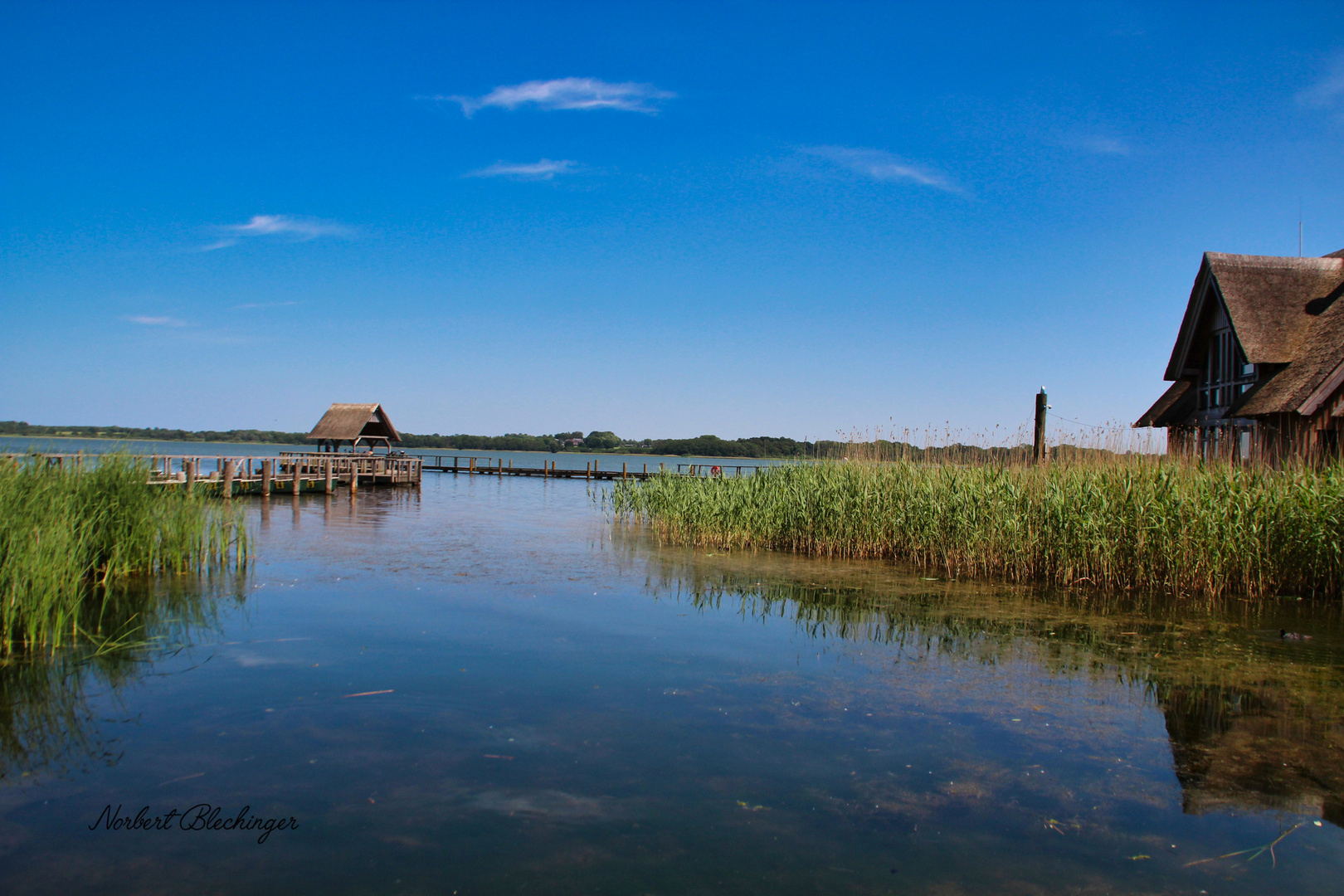 Schuppen im See