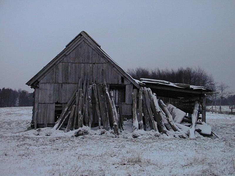 Schuppen im Winter