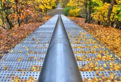 Schurenberghalde der Weg nach unten.....