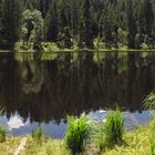 Schurmsee