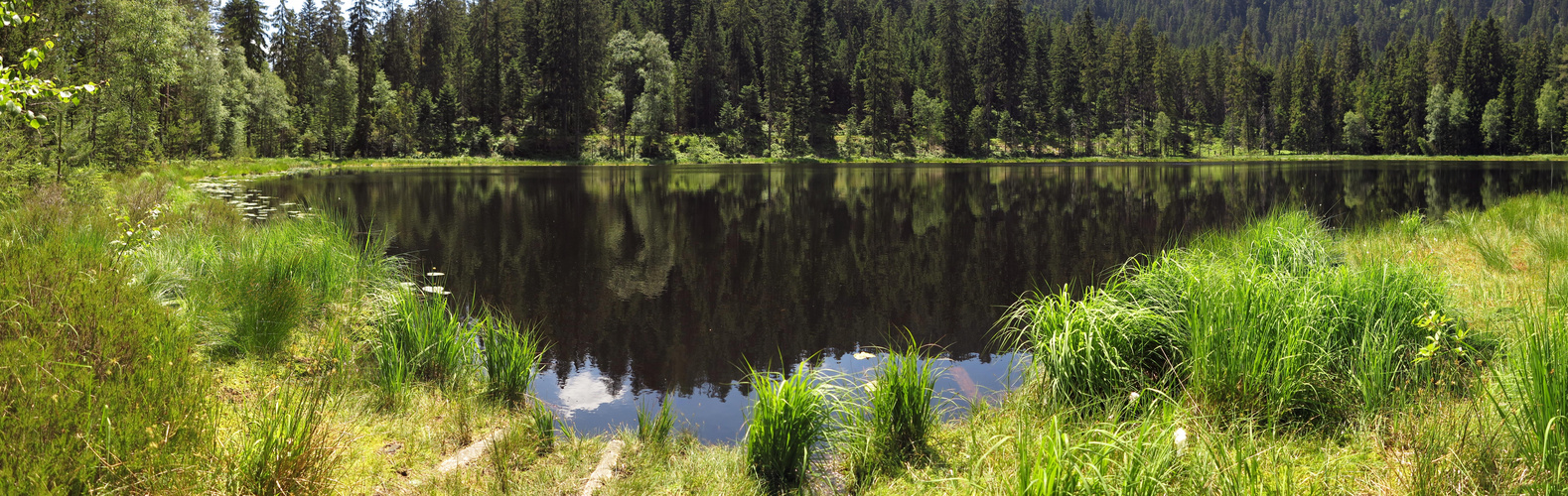 Schurmsee