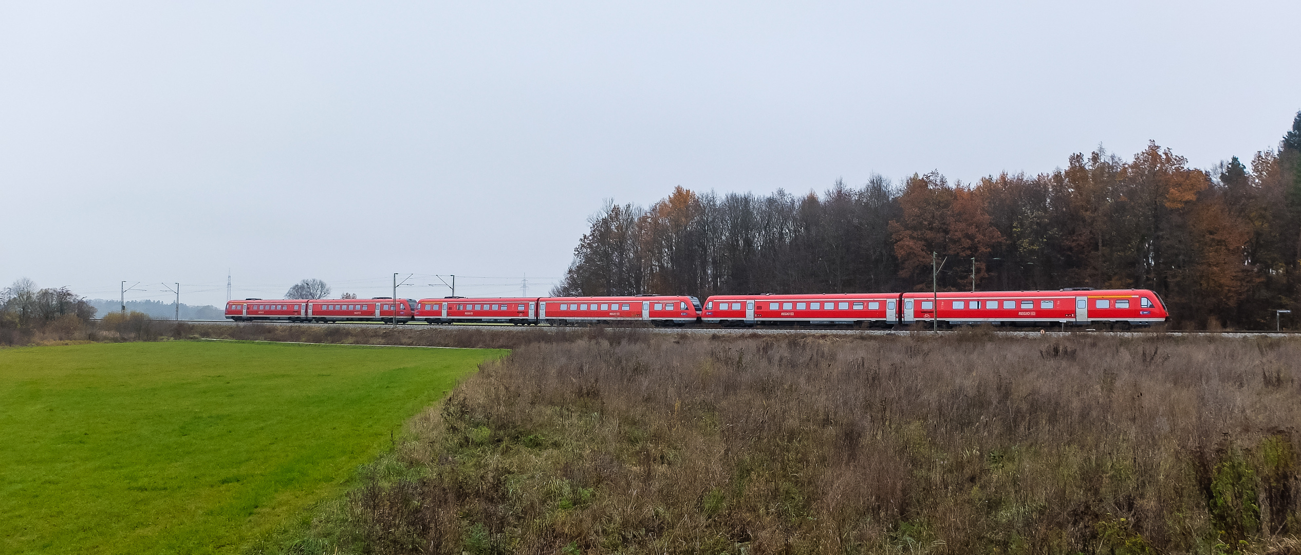 Schuß vom Hochsitz