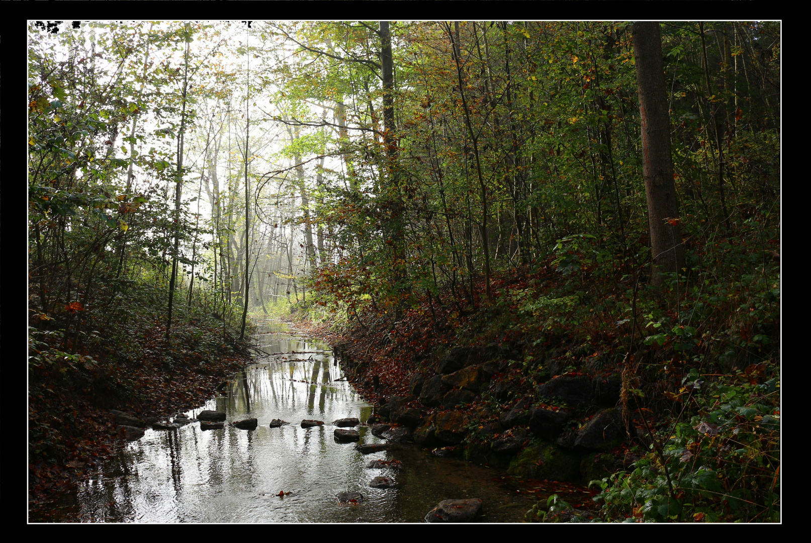 schussenursprung in bad Schussenried