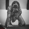 Schuster-Art
