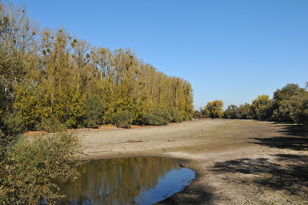 Schusterwörth: Da war mal Wasser 01