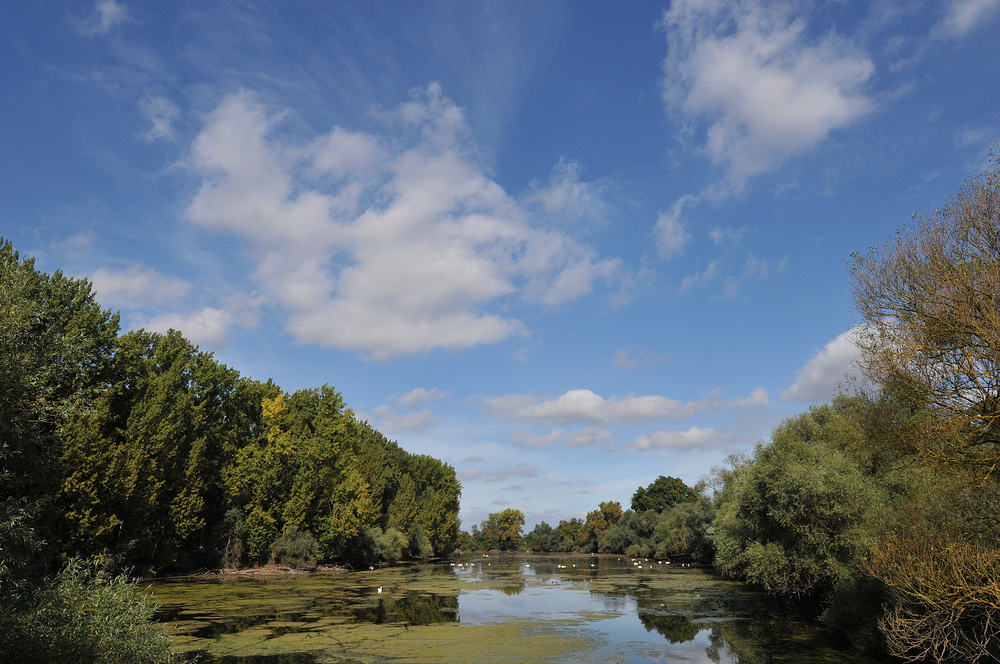 Schusterwörth im Sonnenherbst 01