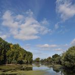 Schusterwörth im Sonnenherbst 01