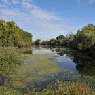 Schusterwörth im Sonnenherbst 03