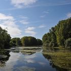 Schusterwörth im Sonnenherbst 05