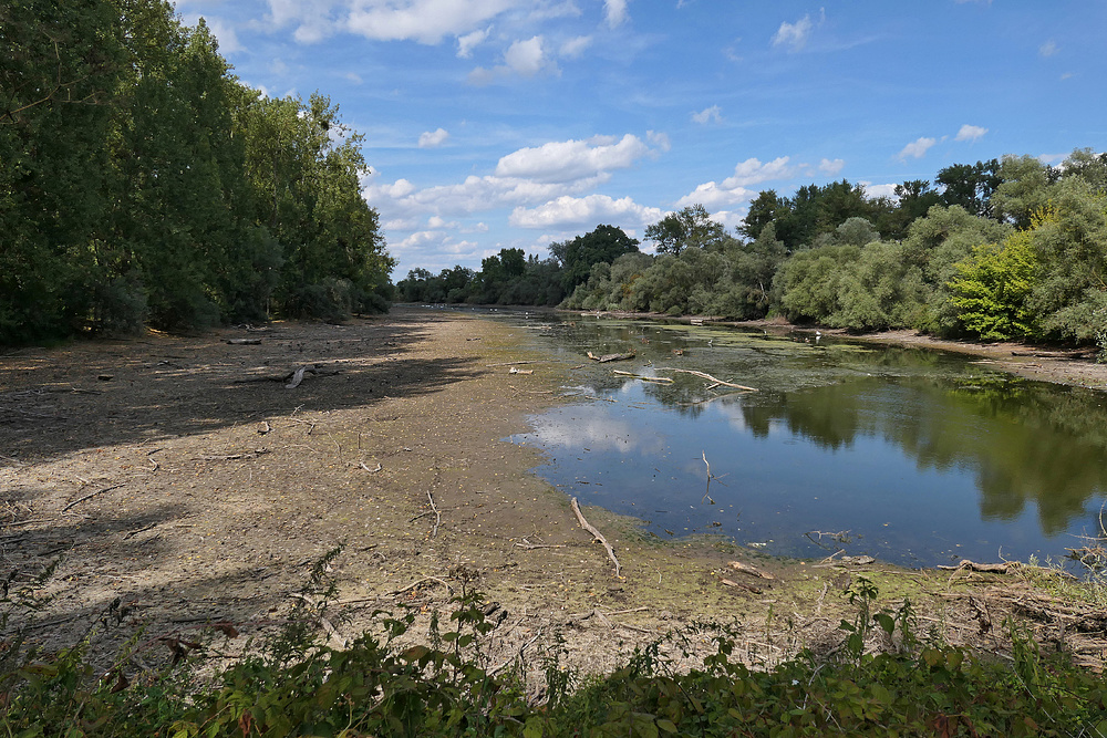 Schusterwörth: Wenig Wasser 03