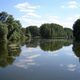 Landschaft-Ried
