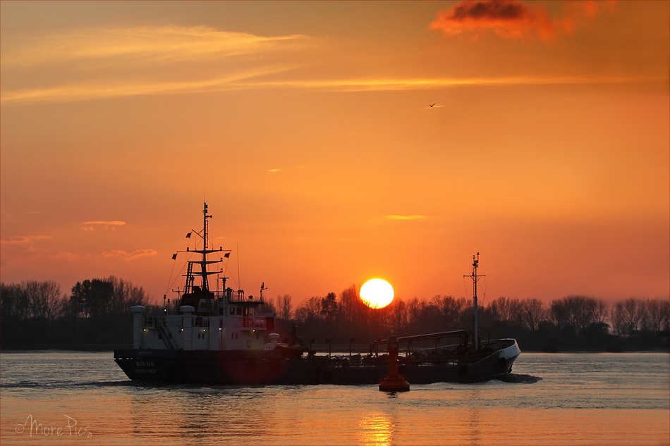 Schute im Sonnenuntergang