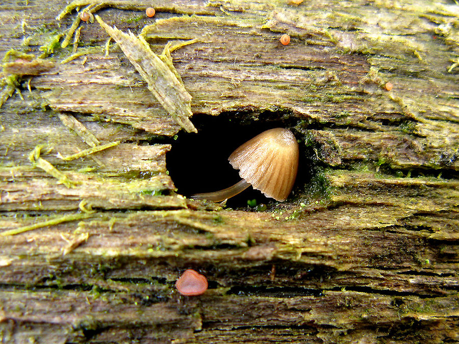 Schutz in der Höhle