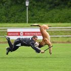 Schutzdienst im Hundesport - Angriff auf den Hund aus der Bewegung