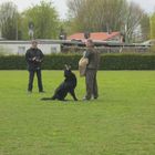 Schutzdienst IPO 3, Frühjahrsprüfung HSV Langenselbold 22.04.2012