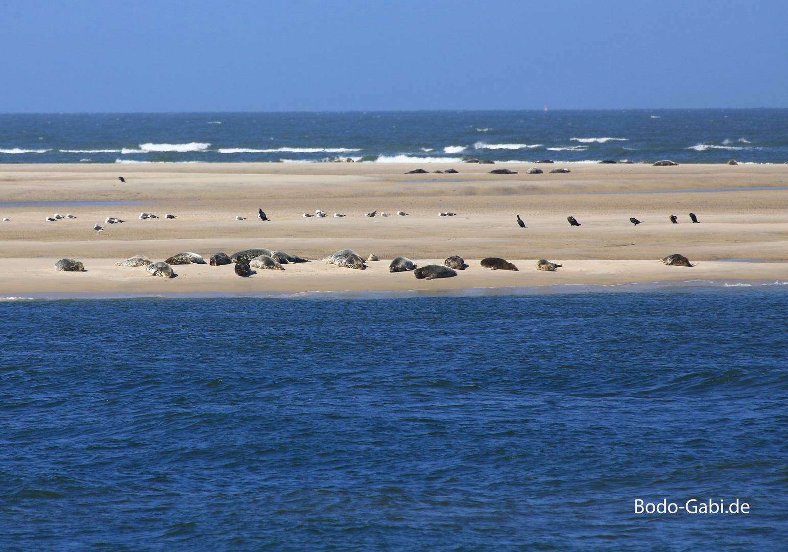 Schutzgebiet Sandbank