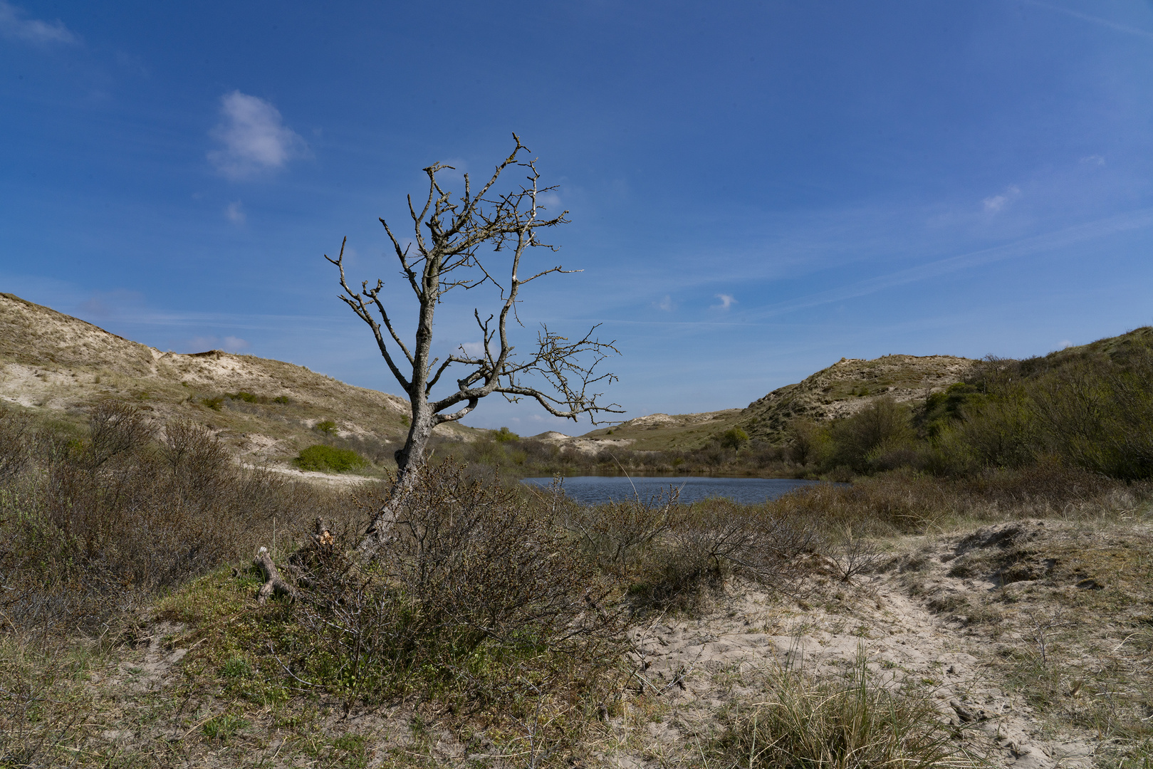 Schutzgebiet Starrevlak