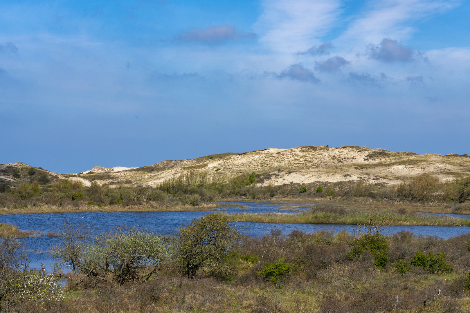 Schutzgebiet Starrevlak