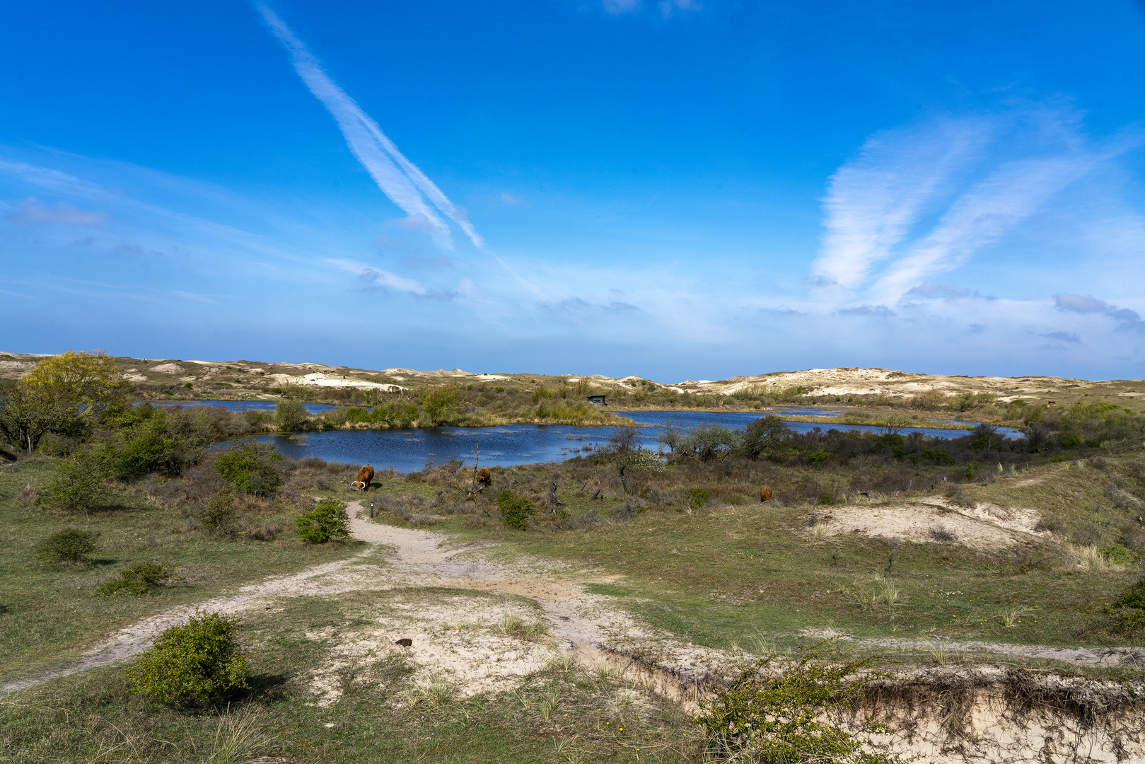 Schutzgebiet Starrevlak