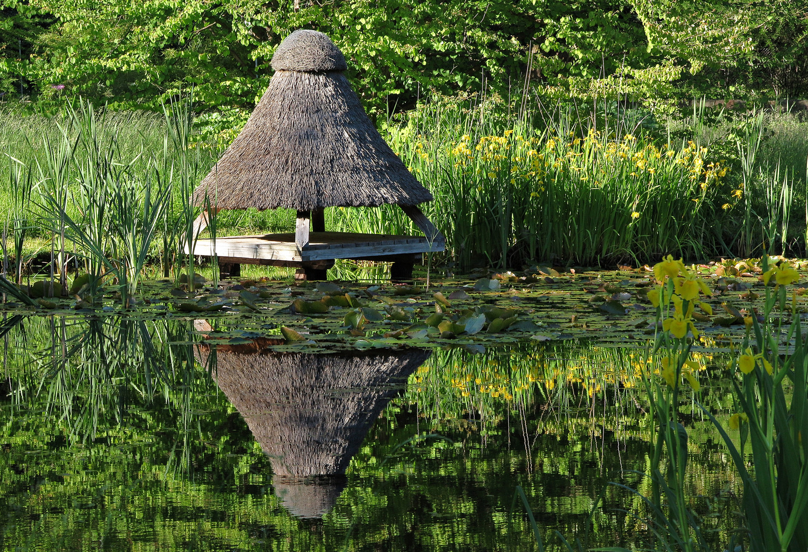 Schutzhaus für die Wasservögel im Kurpark von Bad Malente