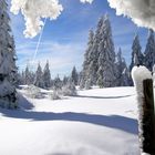 Schutzhütte am Brocken