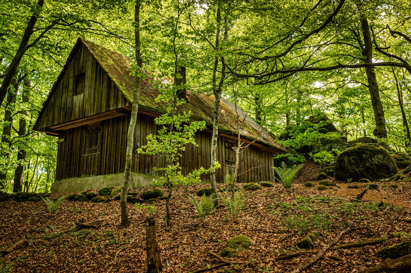 Schutzhütte am Hengstberg 