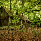 Schutzhütte am Hengstberg 