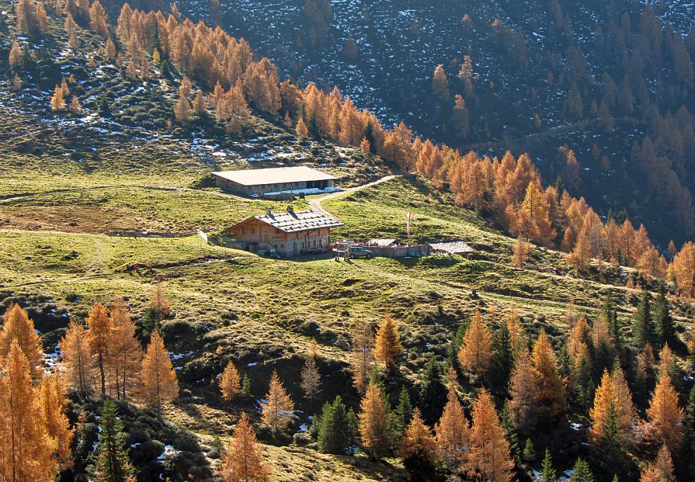 Schutzhütte Hintereggalm (1.990 m)