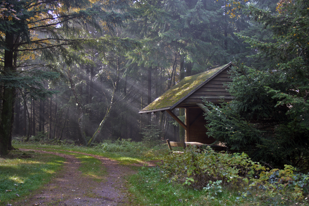 Schutzhütte im Nebel