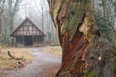 Schutzhütte im Neuenburger Urwald