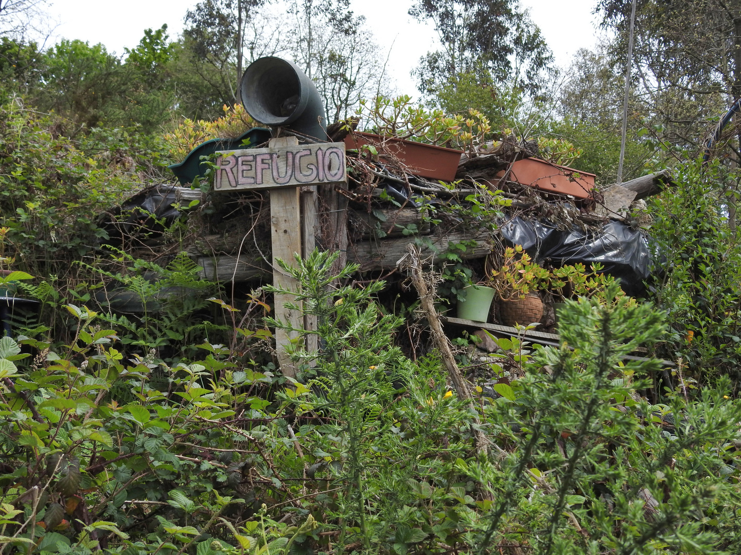 Schutzhütte in Asturien