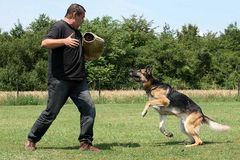 Schutzhundausbildung