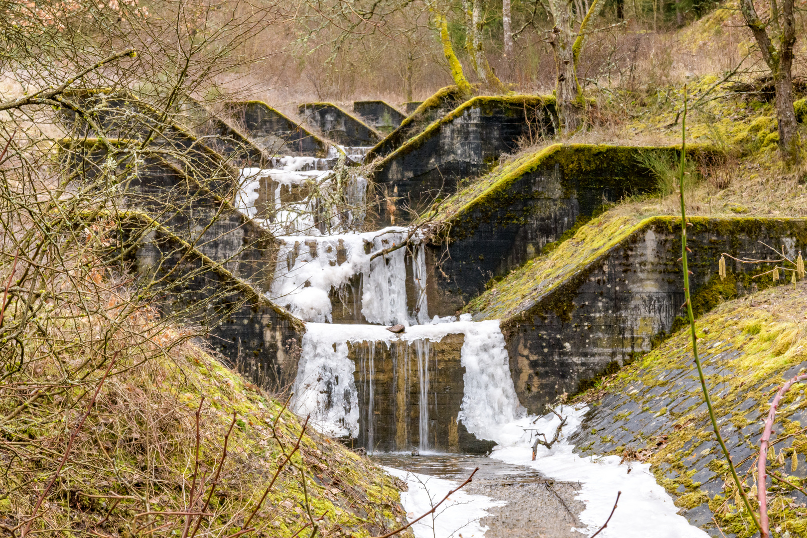 Schutzvorrichtungen am Ellenbach