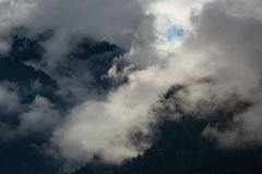 Schutzwald, wolkenverhangen