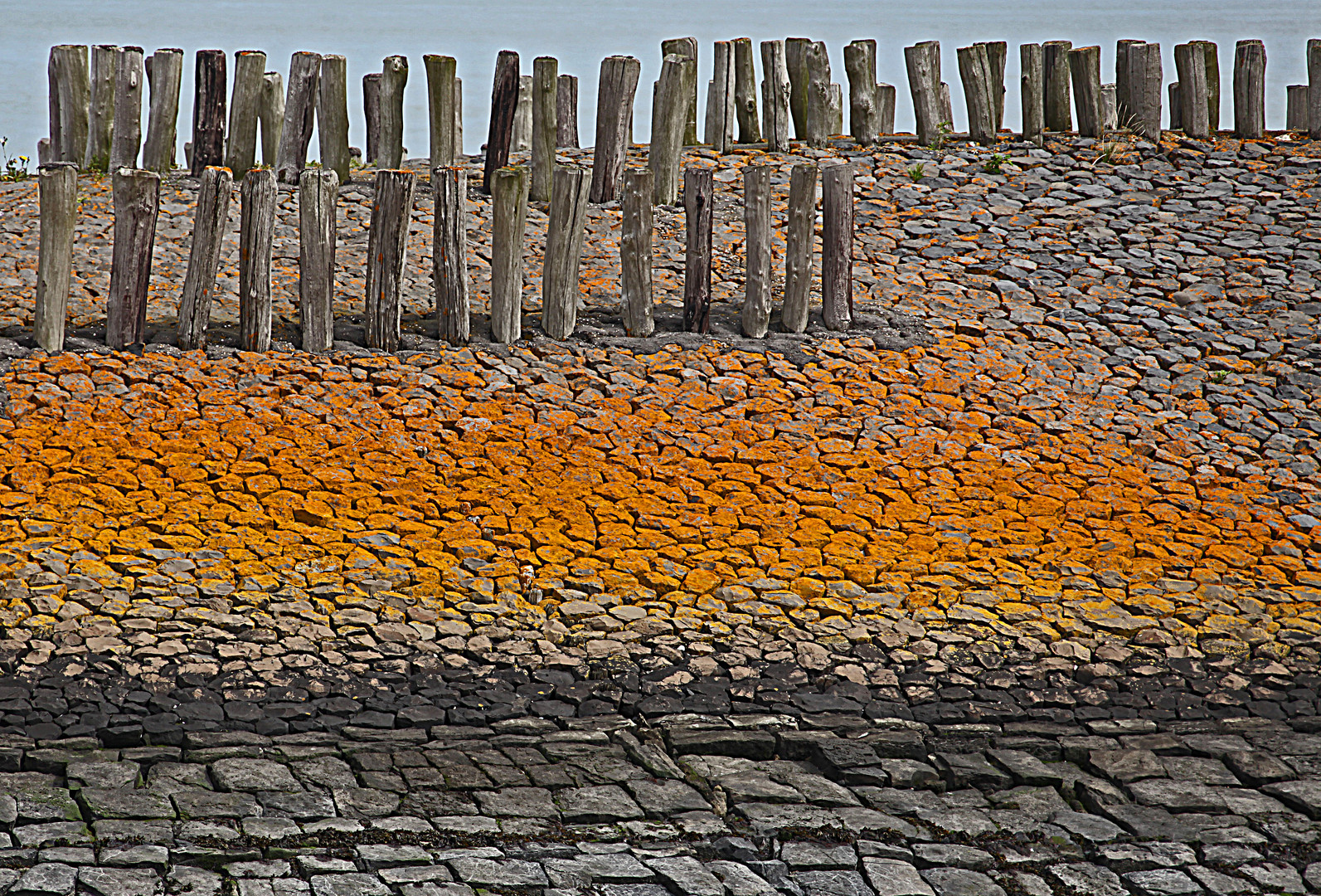 Schutzwall Foto & Bild europe, benelux, netherlands Bilder auf