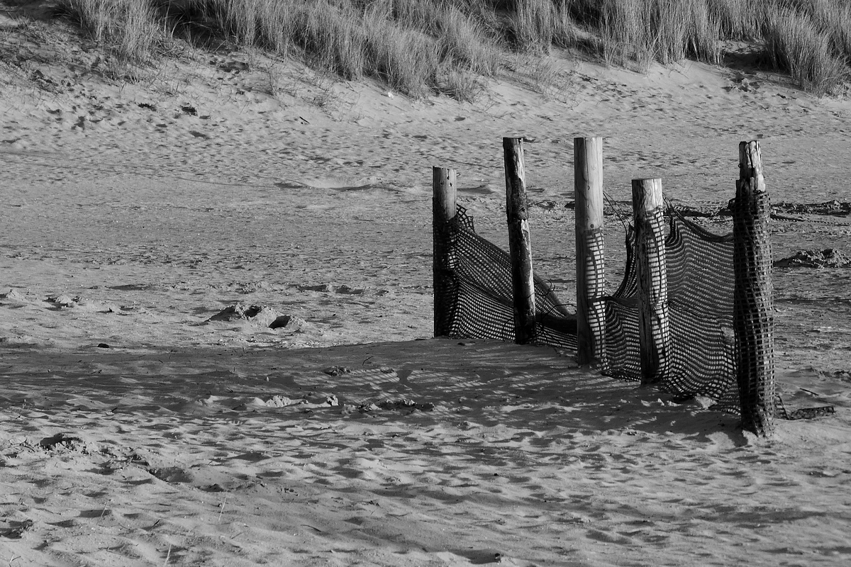 Schutzzaun am Strand