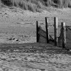 Schutzzaun am Strand