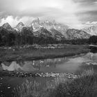 Schwabacher Landing