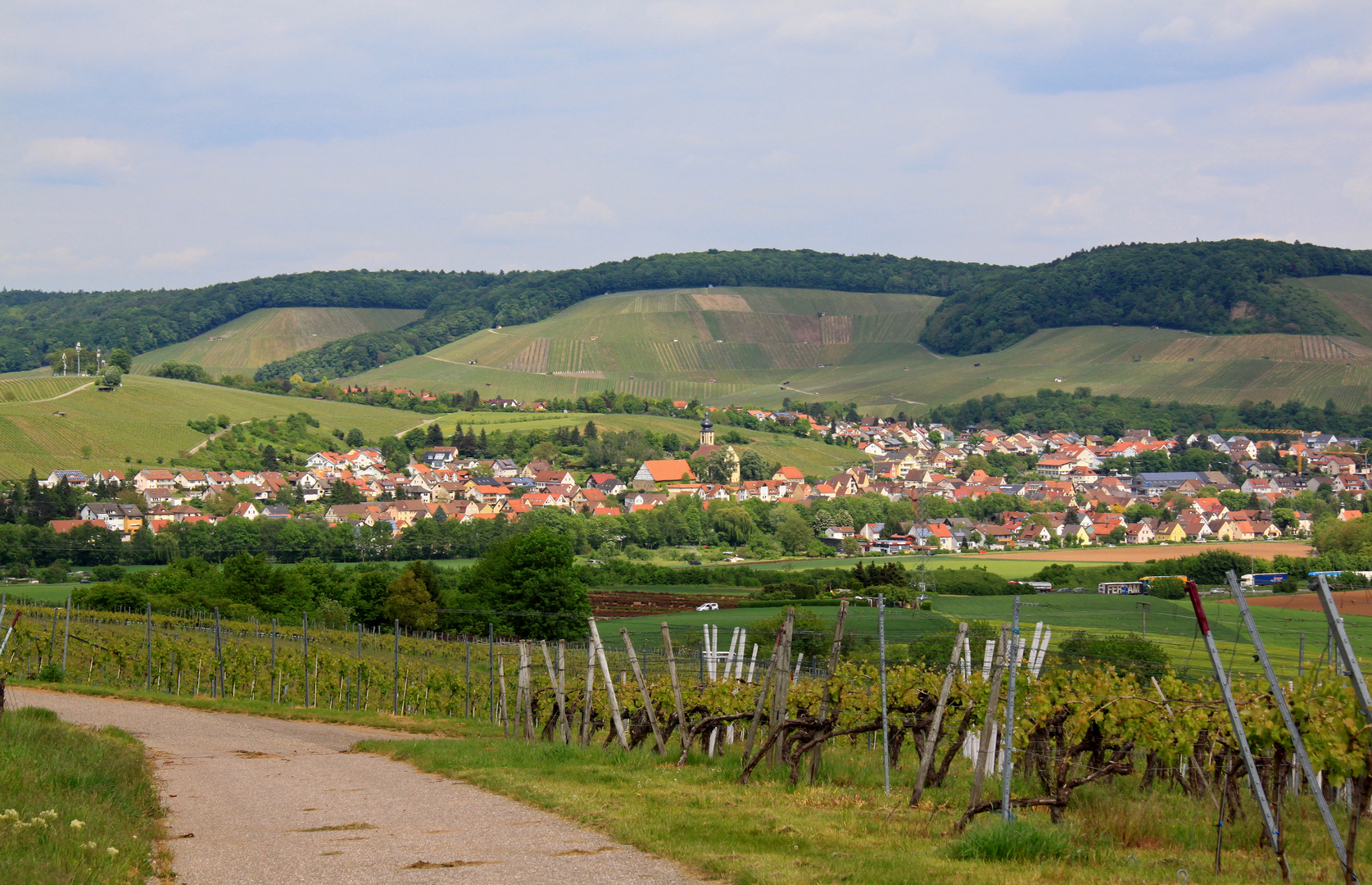 Schwabenland - Weinland