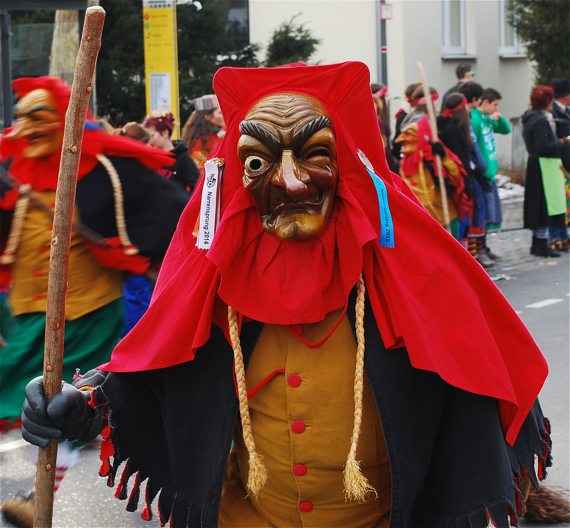 Schwäbisch-Alemannische Fasnet 2015 (3)