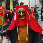 Schwäbisch-Alemannische Fasnet 2015 (3)