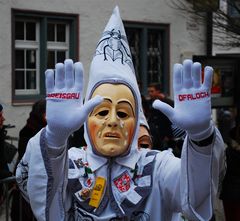 Schwäbisch-Alemannische Fasnet 2015 (5)