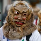 Schwäbisch Alemannische Fastnacht in Freiburg 5