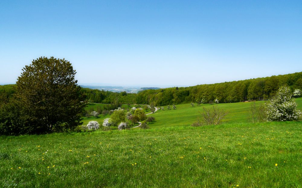 Schwäbisch-Fränkischer Wald