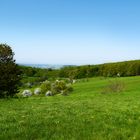 Schwäbisch-Fränkischer Wald