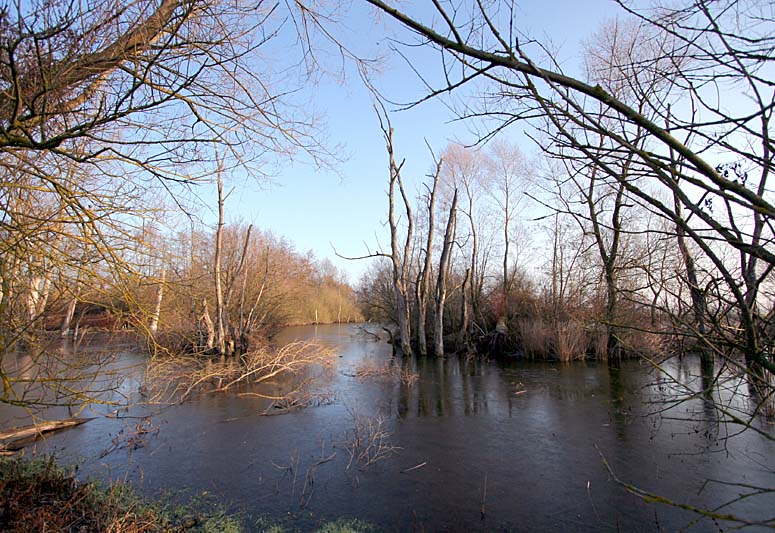 Schwäbisch Hall Heidsee