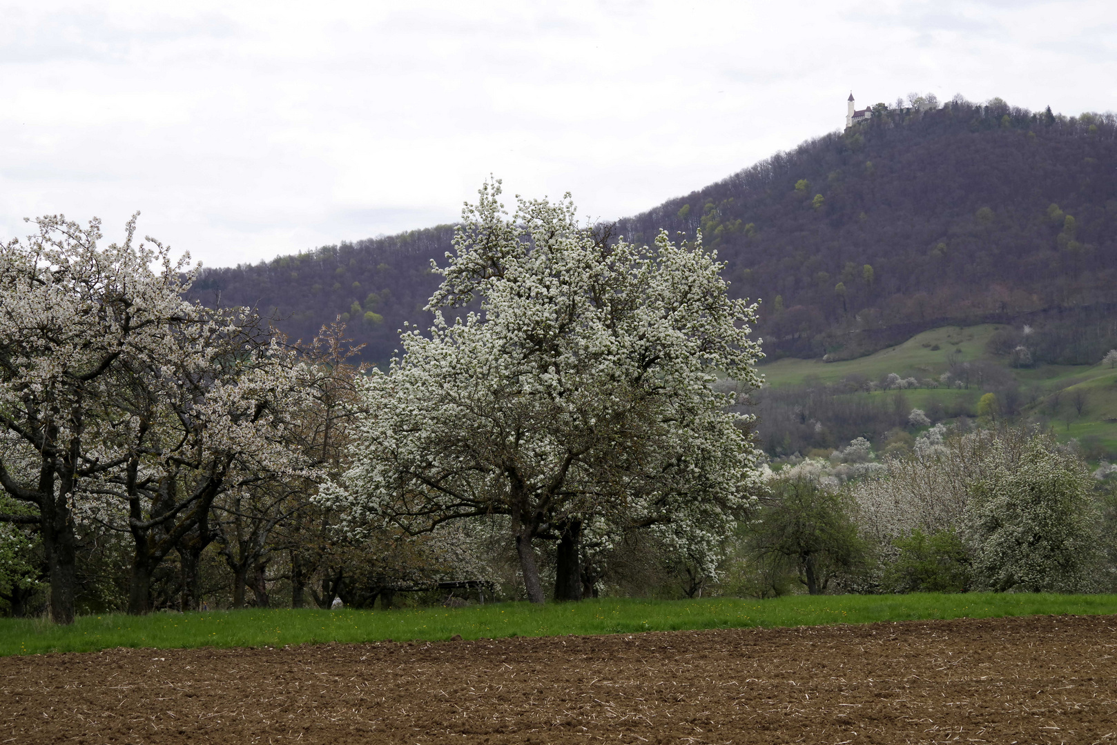 ...Schwäbische Alb