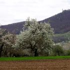 ...Schwäbische Alb