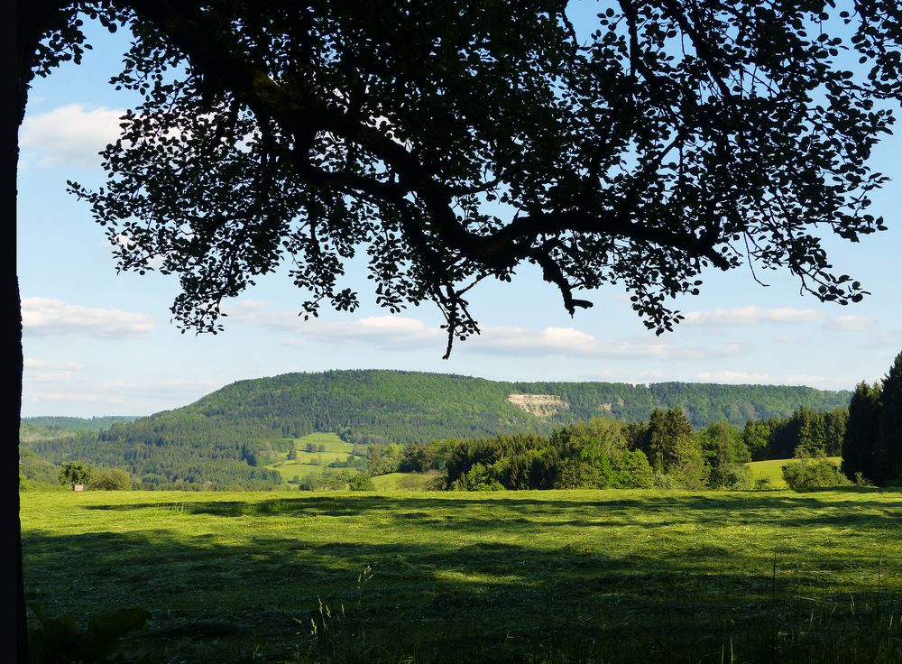 Schwäbische Alb 